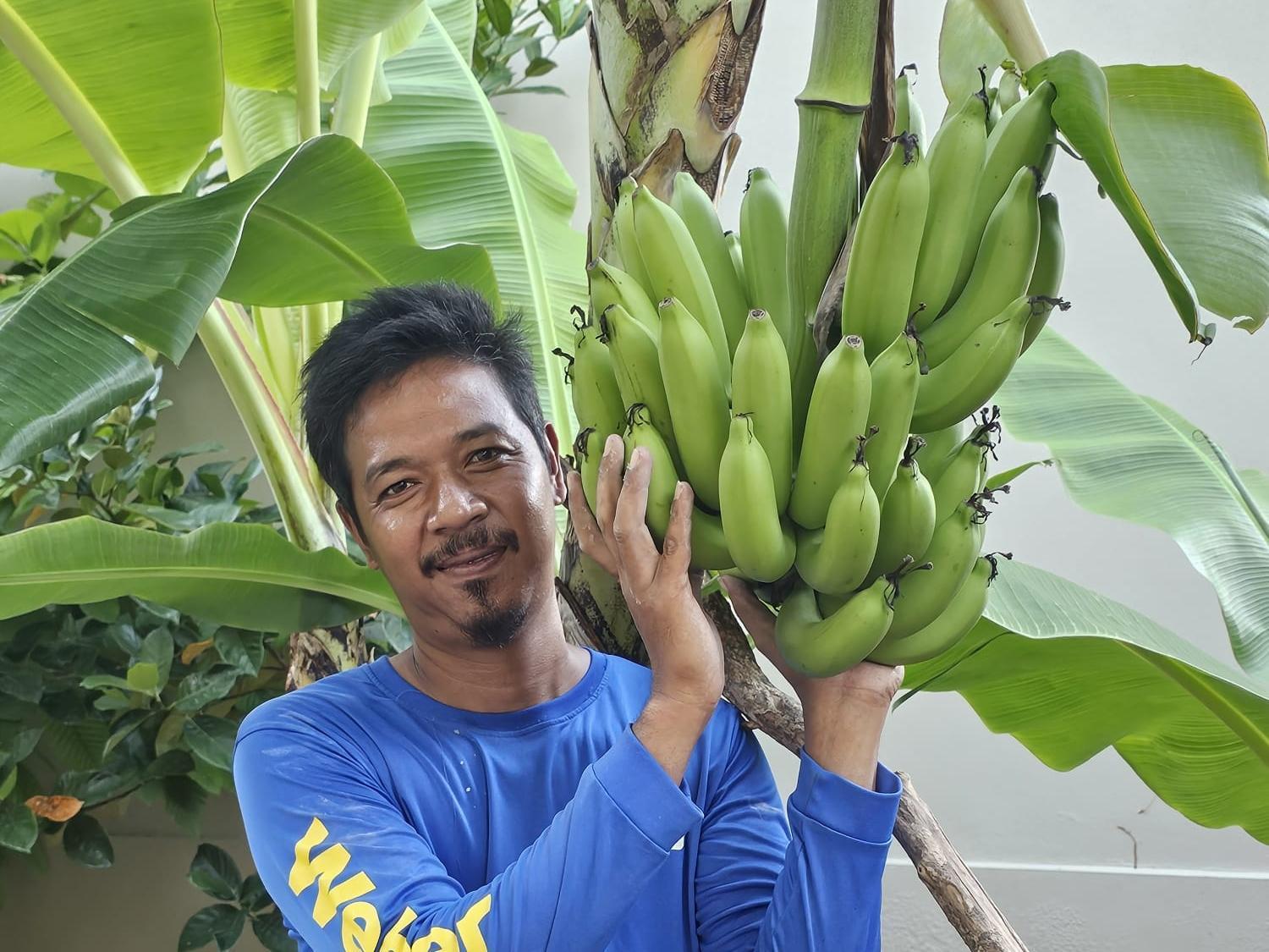 邦宝小屋旅馆 班邦宝 外观 照片