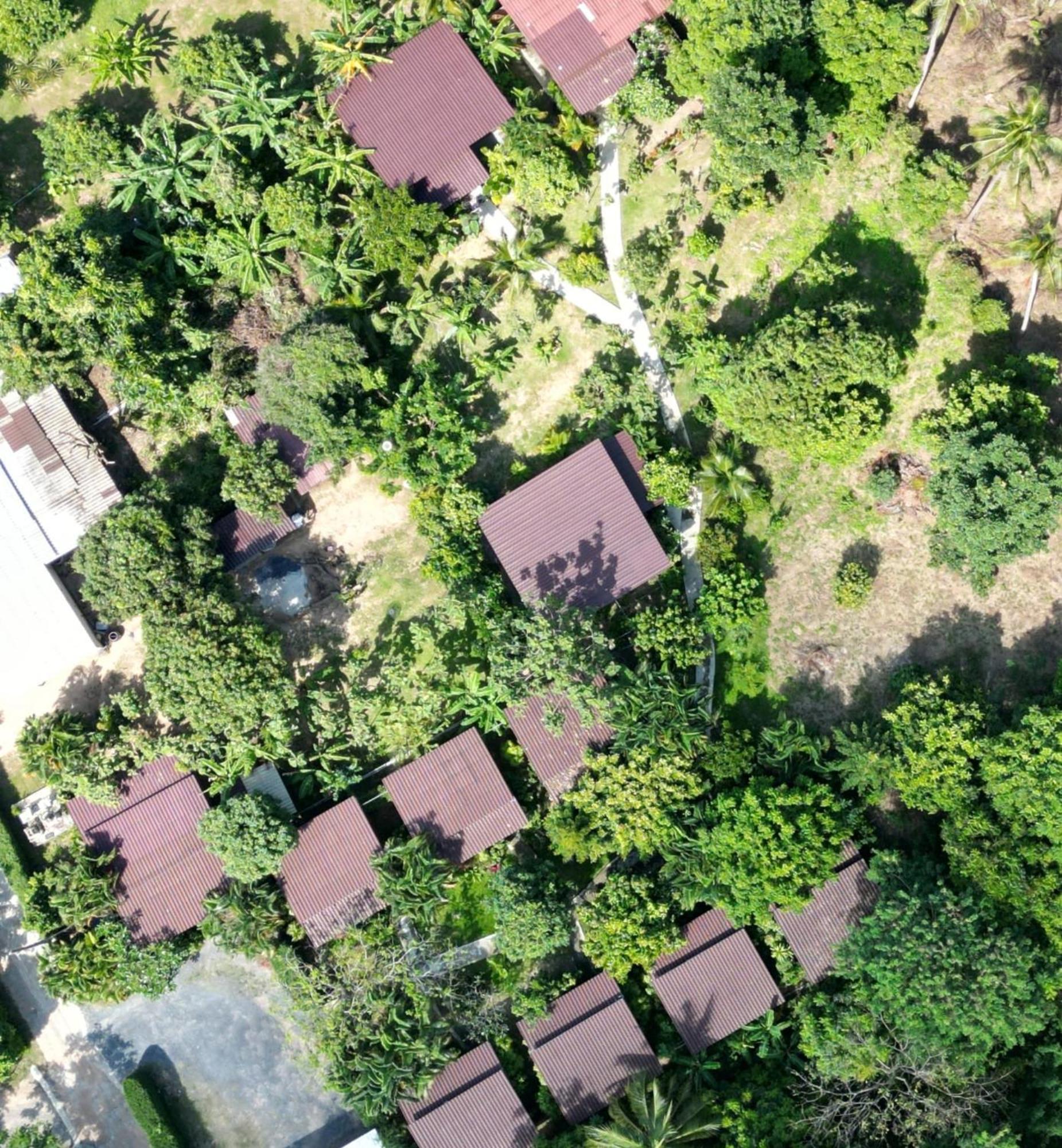 邦宝小屋旅馆 班邦宝 外观 照片